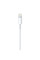 Кабель Apple Lightning to USB 0.5m (ME291)